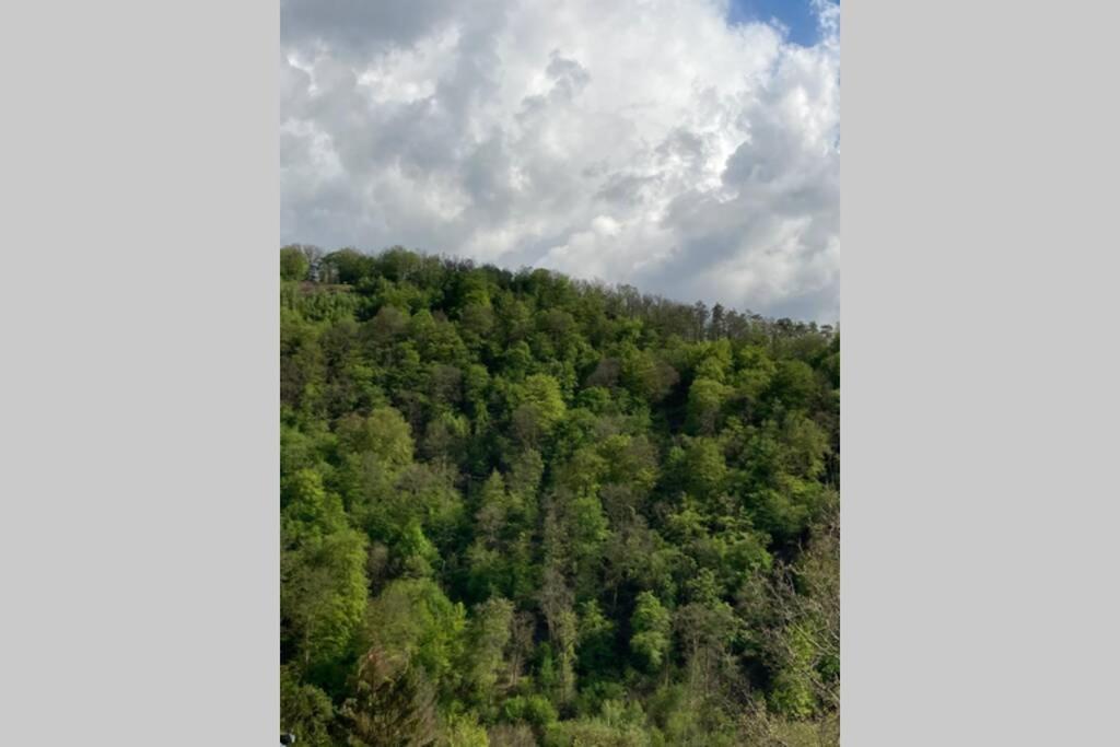 La Mejounete De Lucie Vresse-sur-Semois Exteriér fotografie