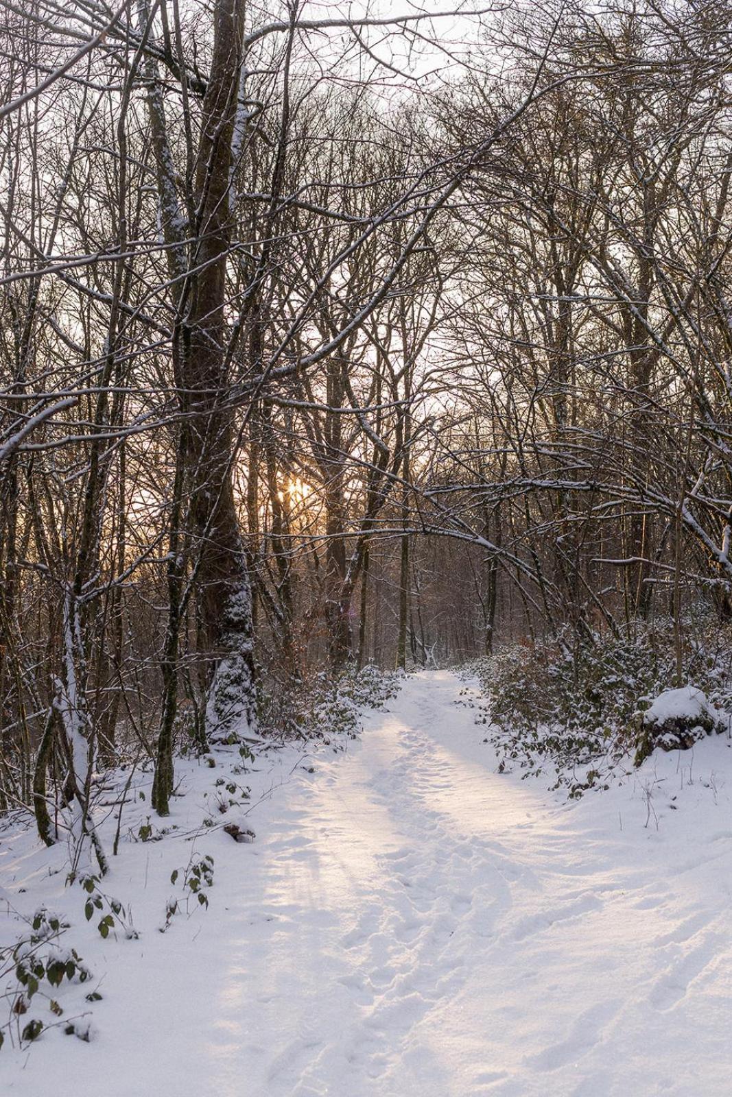 La Mejounete De Lucie Vresse-sur-Semois Exteriér fotografie