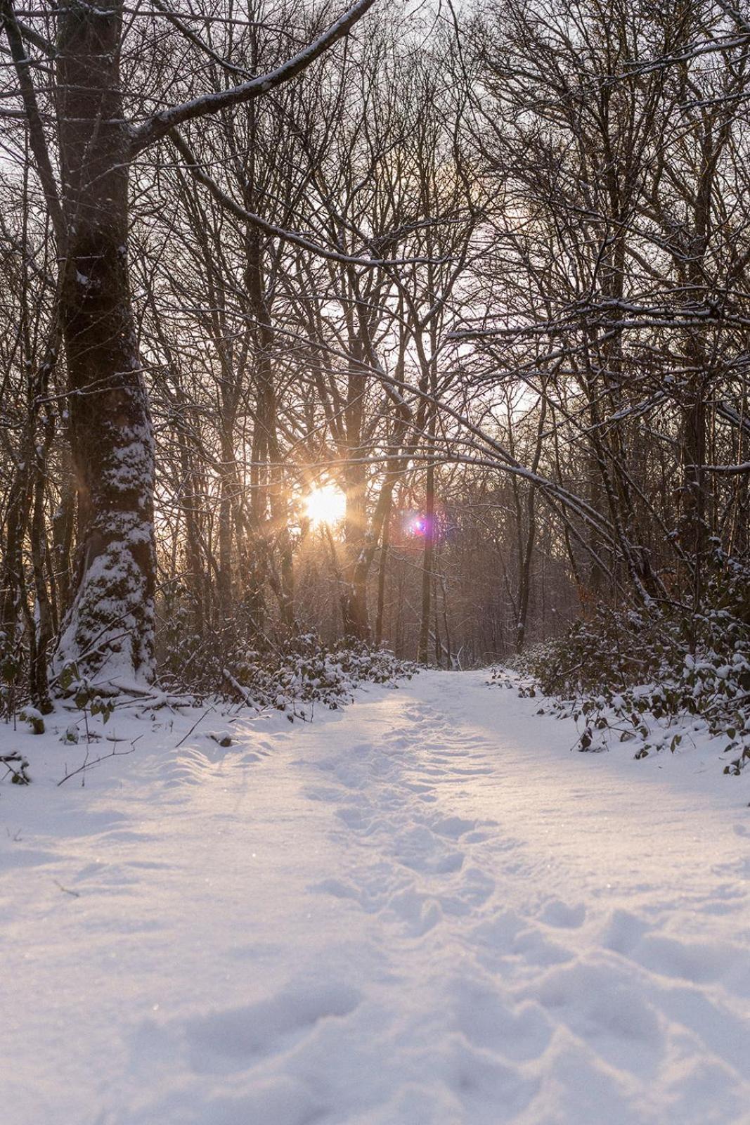 La Mejounete De Lucie Vresse-sur-Semois Exteriér fotografie